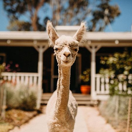 Margaret River Holiday Cottages Bagian luar foto