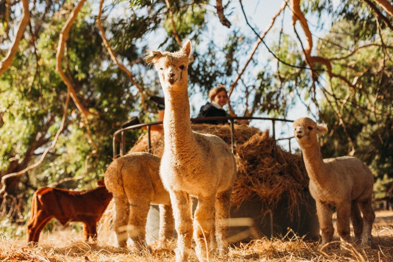 Margaret River Holiday Cottages Bagian luar foto