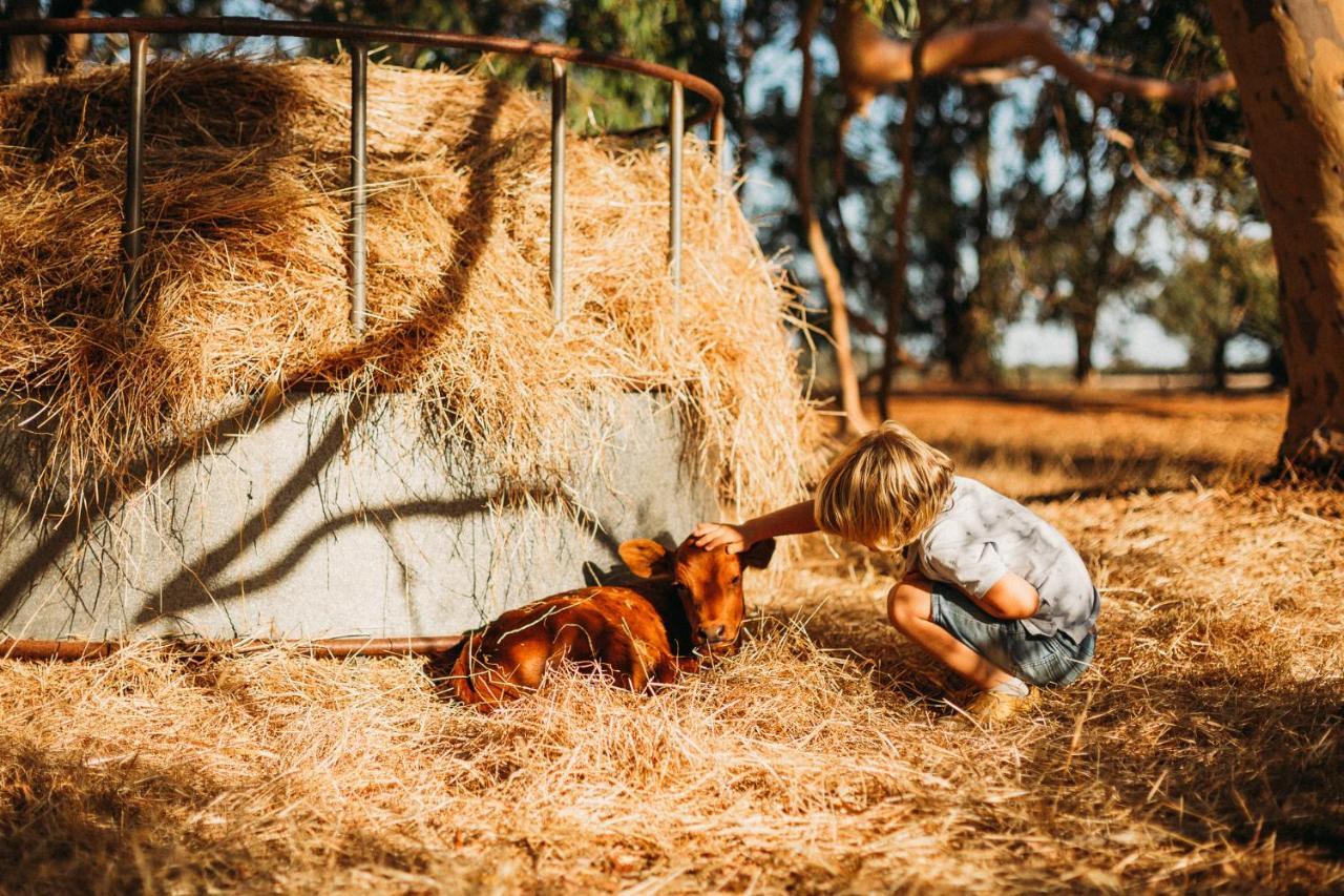 Margaret River Holiday Cottages Bagian luar foto