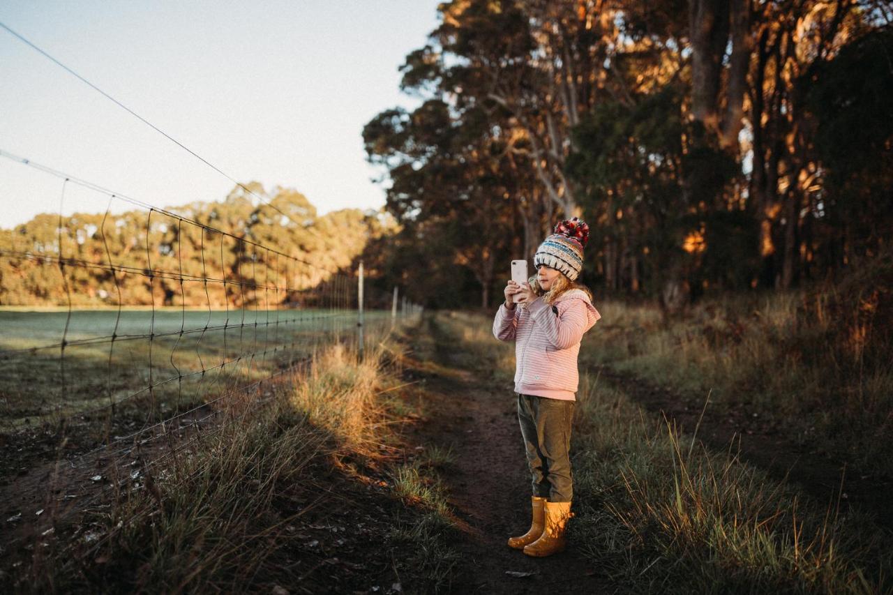 Margaret River Holiday Cottages Bagian luar foto