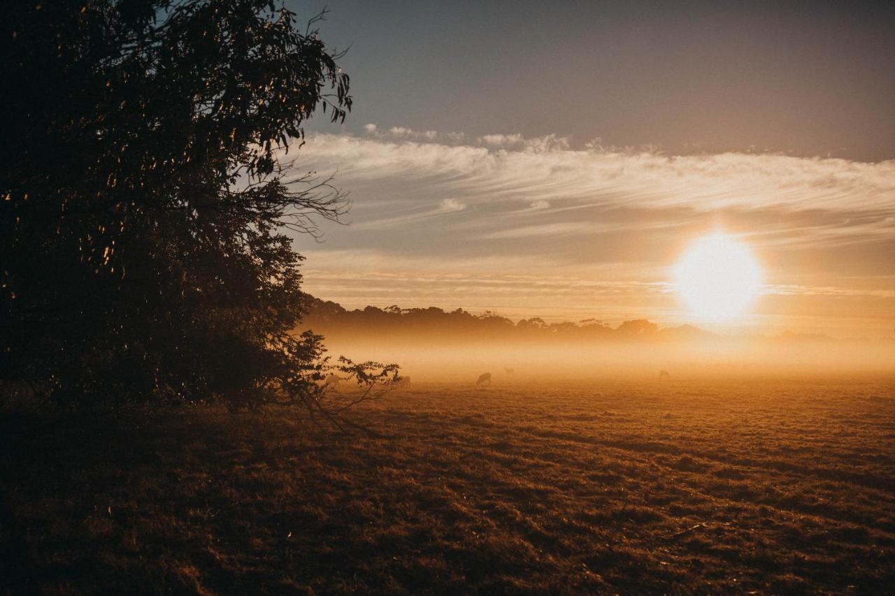 Margaret River Holiday Cottages Bagian luar foto