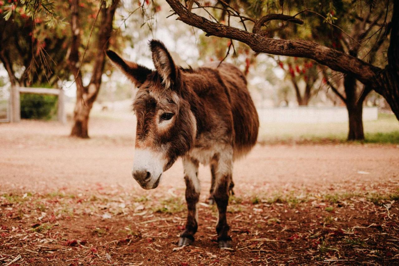 Margaret River Holiday Cottages Bagian luar foto