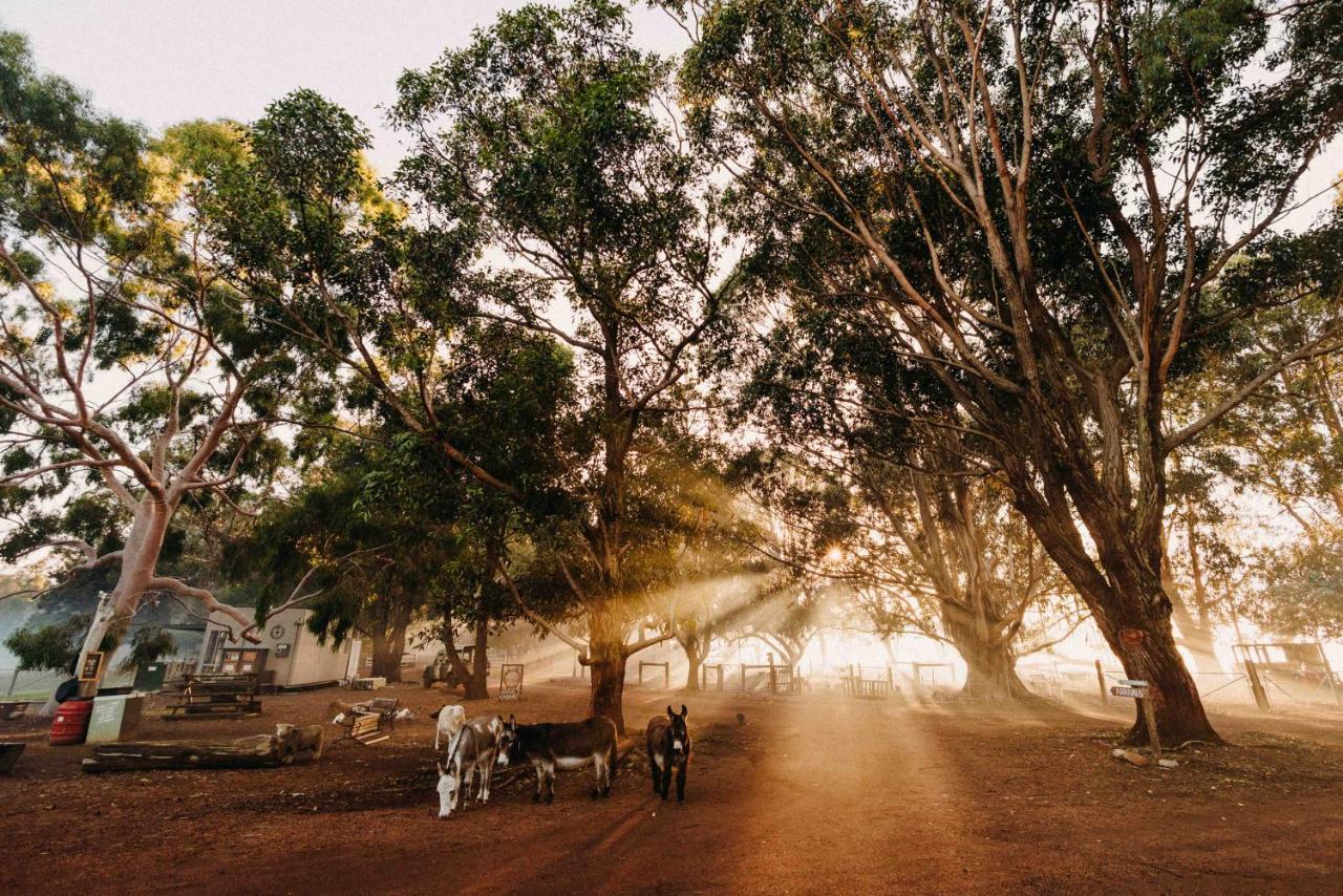 Margaret River Holiday Cottages Bagian luar foto