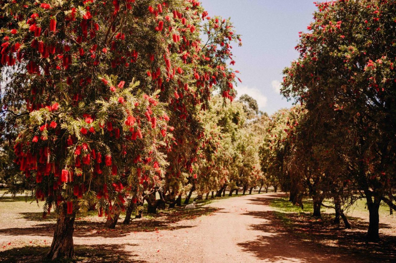 Margaret River Holiday Cottages Bagian luar foto
