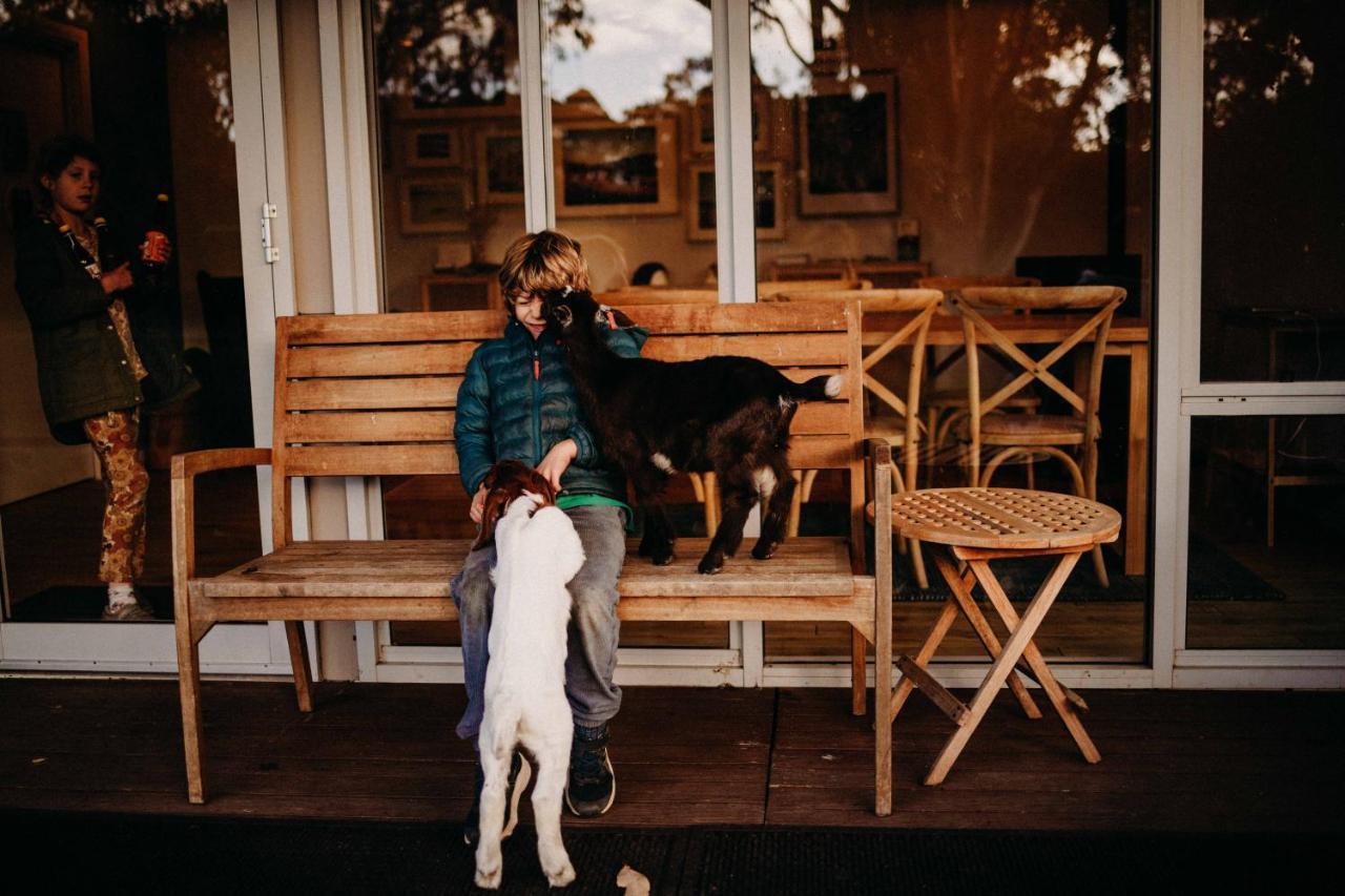 Margaret River Holiday Cottages Bagian luar foto