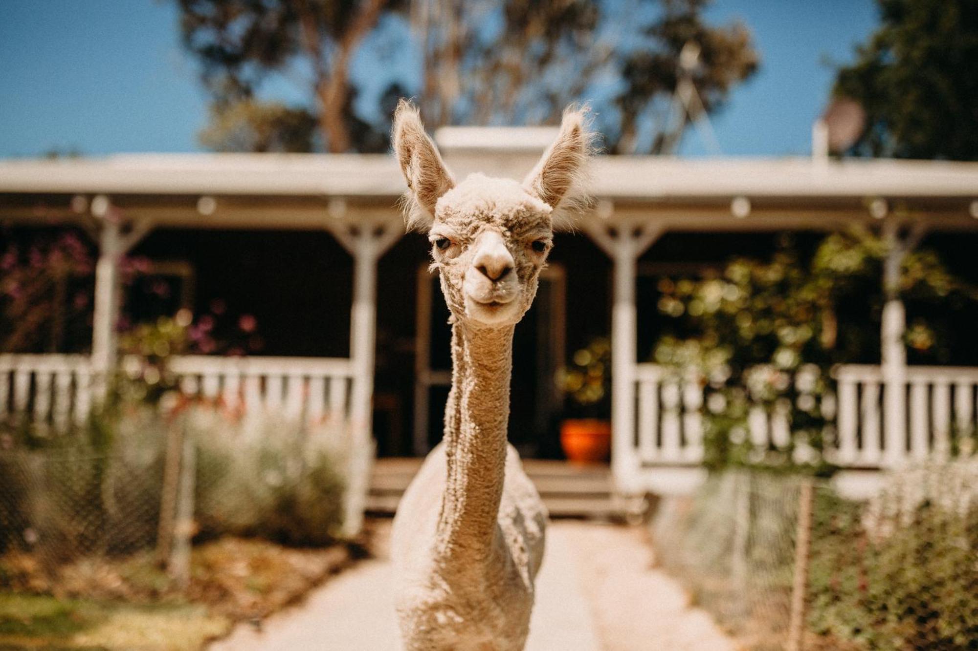 Margaret River Holiday Cottages Bagian luar foto